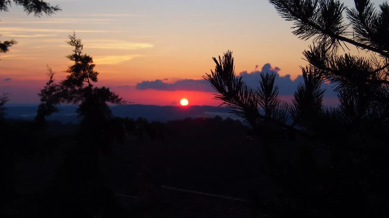 Lejlighed Podere L'Aquila Gaiole in Chianti Italien