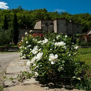 Feriegård Azienda Agricola Il Pozzo, Capolona